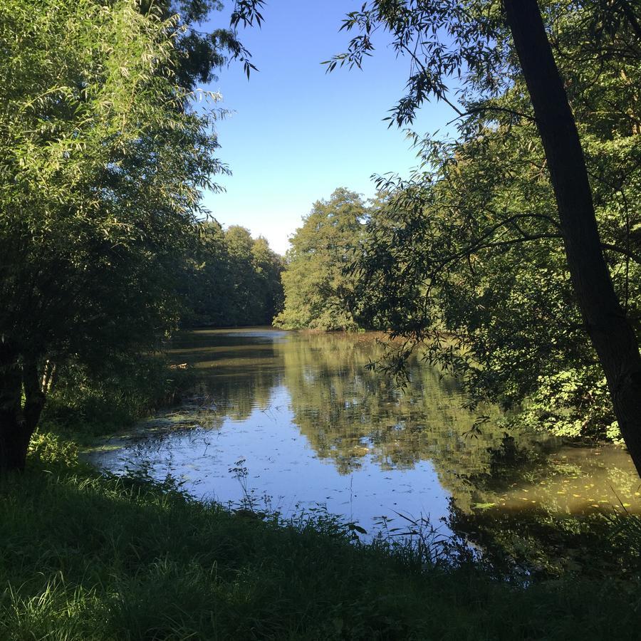 Engels Hof Wolfsburg Bagian luar foto
